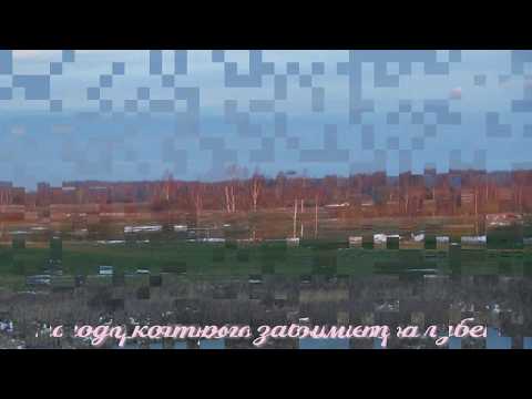 Видео: николаевские голуби  мысли в слух о покрытии голубей