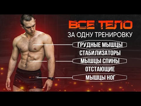 Видео: ФУЛБАДИ. Самый эффективный путь тренировки мышц всего тела.