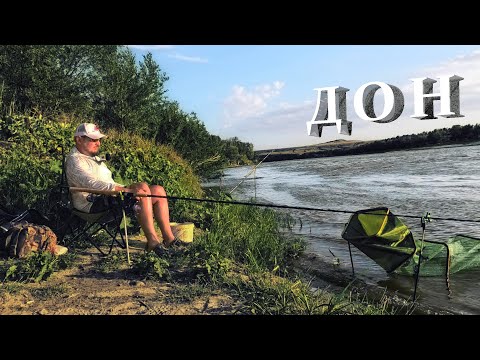 Видео: РЫБАЛКА на ДОНУ 2025 часть первая