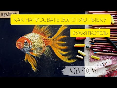 Видео: КАК НАРИСОВАТЬ ЗОЛОТУЮ РЫБКУ СУХОЙ ПАСТЕЛЬЮ / ЧАСТЬ 2