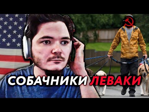 Видео: Маргинал объяснил почему собачники Леваки (в конце мнение Блица)