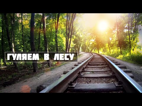 Видео: АСМР Успокаивающая Прогулка по Лесу ! 500% Релакса на Карантине !