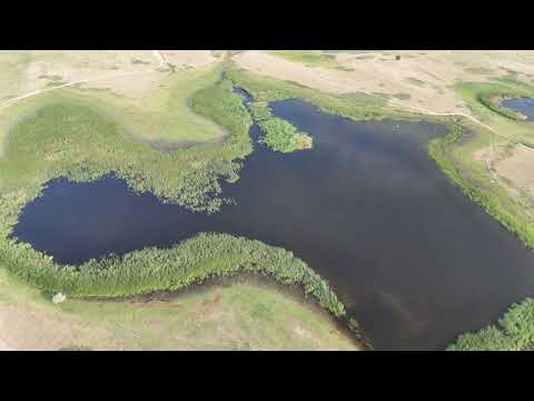 Видео: Поиск мест змееголова. Район АсылКоля, Капчагай.