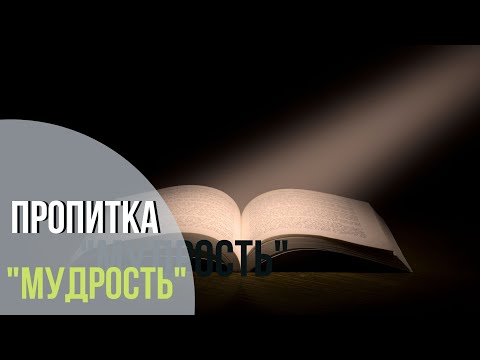 Видео: Пропитка. Пять минут с Богом. Мудрость