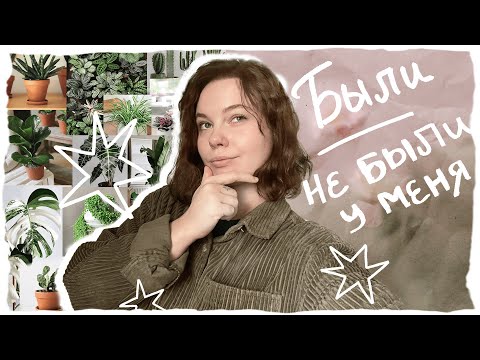 Видео: 10 растений, которых у меня нет и что я о них думаю