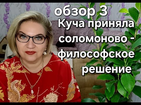 Видео: Куча приняла соломоново-философское решение