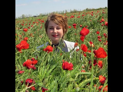 Видео: 3.Замуж за француза. Наши отношения и свадьба. Часть 3. #замужзаиностранца