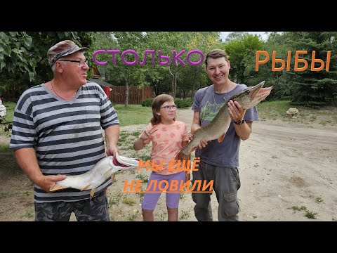 Видео: Столько рыбы мы ещё не ловили! | Рыбалка на реке Дон.