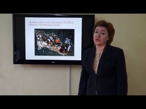 Видео: Кураченко Н.Л. Минеральный состав почв