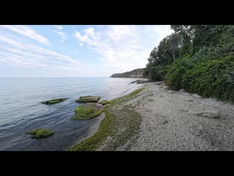 Видео: Галата - Паша Дере.