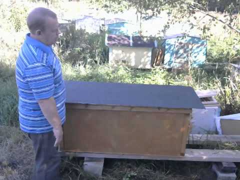 Видео: Улей лежак Якимова Владимирский, что, как и почему.