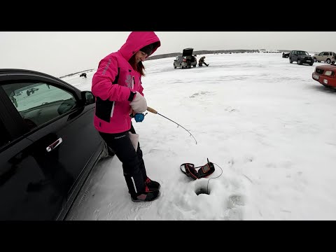 Видео: ЛОВИЛИ ВСЕ! ВАГНЕР ВИБ против САМОДЕЛЬНОГО СИНЕГО ПРЫЩА! РЫБАЛКА на СУДАКА! ПОДВОДНЫЕ СЪЕМКИ СУДАКов