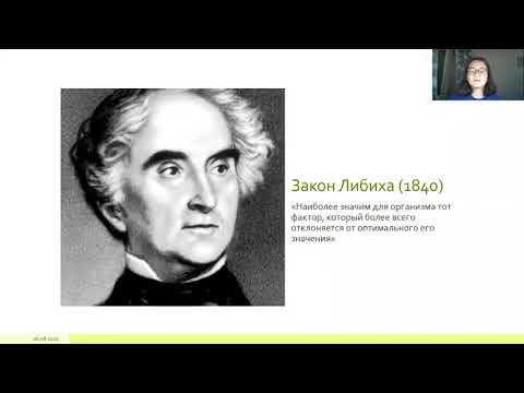 Видео: Подготовка к олимпиаде. Лекция 5. Экологические факторы