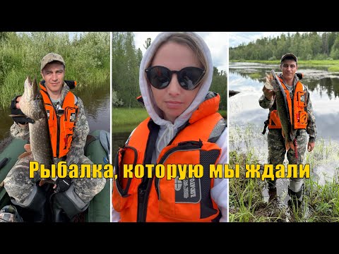 Видео: Вернулись на Пякупур - что изменилось за год. Рыбалка 2025.