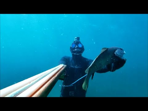 Видео: ПОДВОДНАЯ ОХОТА!ОГРОМНЫЕ ГОРБЫЛИ ЗАПОЛОНИЛИ ТАРХАНКУТ!