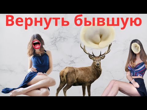 Видео: Вернуть БЫВШУЮ Что будет если вернуть бывшую девушку