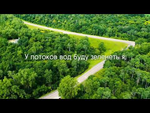 Видео: Nicole Believe - Мой путь в Твоих руках