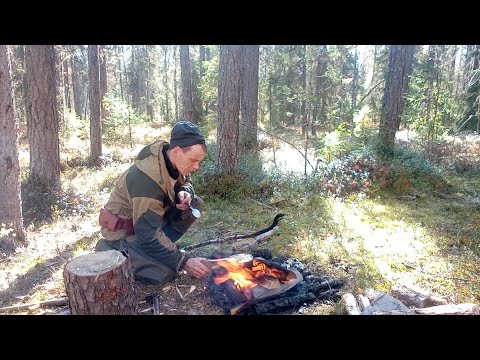 Видео: как делать петлю на рябчика / тихая охота.