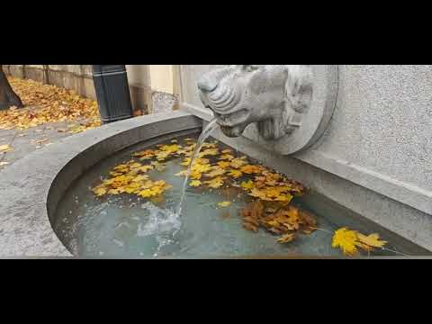 Видео: Просто Осень...