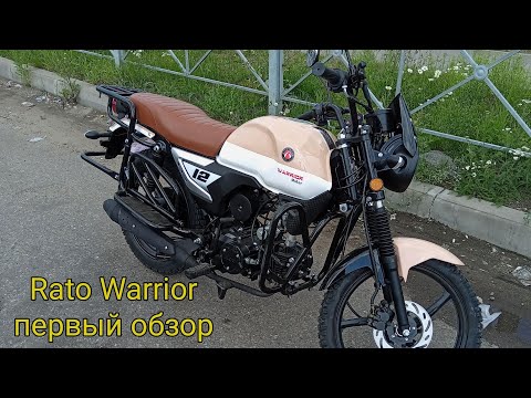 Видео: Мопед Альфа Rato Warrior. Первый обзор. Самая красивая Альфа)