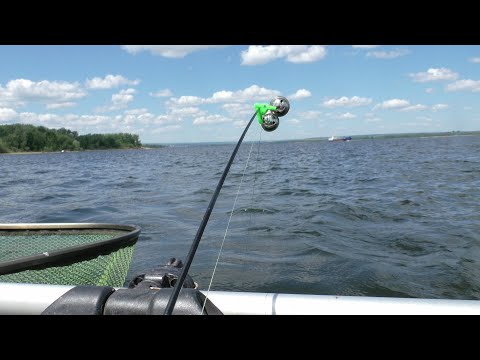 Видео: НЕОЖИДАННО ПРИШЛА ОНА!!! А МЫ И НЕ ЖДАЛИ! Рыбалка 2021. Ловля леща на кольцо