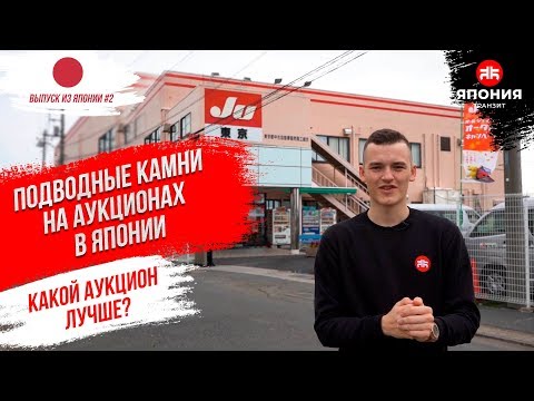 Видео: КАК ОЦЕНИВАЮТ АВТОМОБИЛИ НА АУКЦИОНАХ ЯПОНИИ | КРУГОМ ОБМАН?