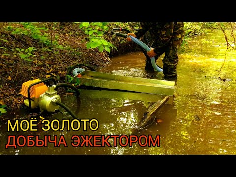 Видео: (ЛЕГКИЕ ДЕНЬГИ) МОЁ ЗОЛОТО ДОБЫЧА В ЛЕСУ ЭЖЕКТОРОМ