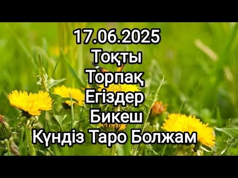 Видео: Күндік таро болжам