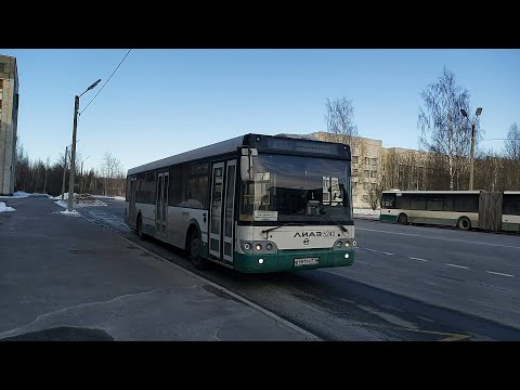 Видео: Автобус, маршрут №359 ЛиАЗ-5292.60 б.5240 (09.03.2021) Петергоф/Стрельна