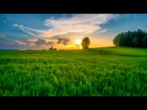 Видео: Такдир хакида тулик тушунча (2 дарс) - Шайх Содик Самаркандий