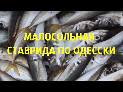 Видео: Малосольная ставрида  Самый быстрый рецепт  Малосольная ставрида в пакете  mp4