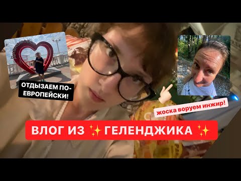 Видео: влог из ГЕЛЕНДЖИКА жоска воруем инжир