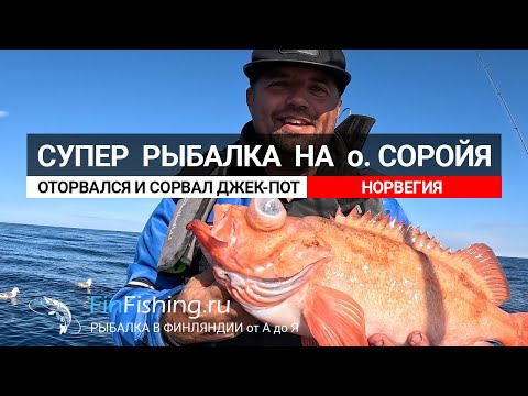 Видео: Супер рыбалка в Норвегии на острове Сороя. Морской черт и окунь! Fishing in Norway. Soroy island.