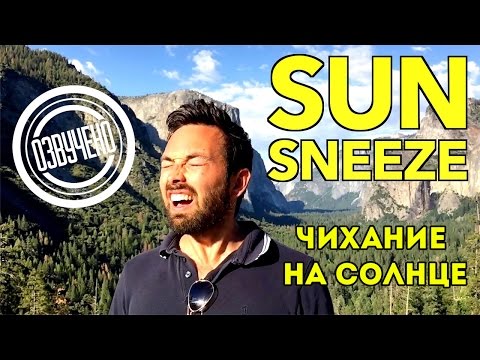 Видео: Veritasium: ген чихания на солнце