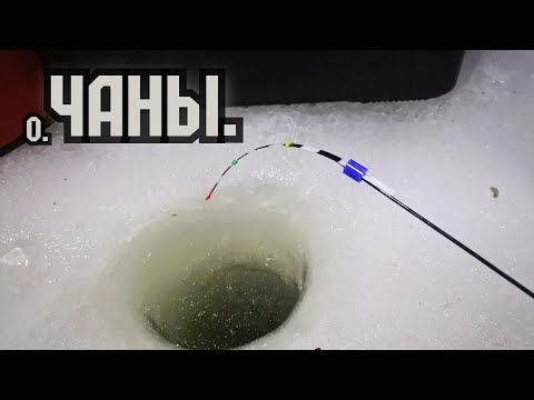 Видео: Они пришли ночью! Озеро Чаны. Ночная рыбалка в палатке в метель. #рыбалка2024 #карась #чаны