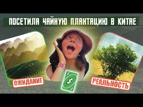 Видео: ЧАЙНАЯ ПЛАНТАЦИЯ НА ЮГЕ КИТАЯ и моя попытка осуществить мечту