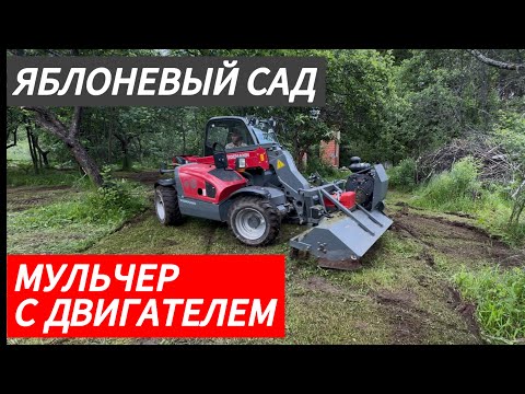 Видео: Мульчер с автономным двигателем в яблоневом саду. Часть 1 из 2