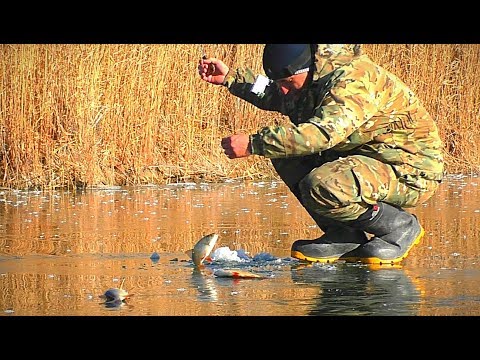 Видео: ПЕРВЫЙ ЛЁД. АКТИВНЫЙ КЛЁВ. ЖЕРЛИЦЫ и первые щуки. Зимняя рыбалка