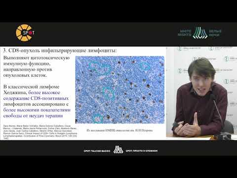 Видео: Микроокружение опухоли: состав, принципы и механизмы его формирования на примере лимфом