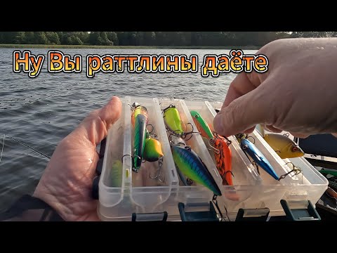 Видео: Ну Вы раттлины даёте