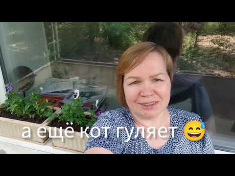 Видео: Vlog 12/24 Хорошая Громкая Пятка с неизвестныи автором и @ОльгаКурунова