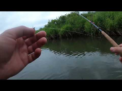 Видео: Тенкара, новая речка