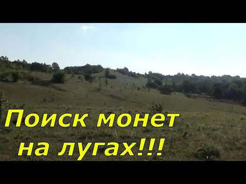 Видео: Коп по лугам и сенокосам.  В поиске серебра и золота с металлоискателем.