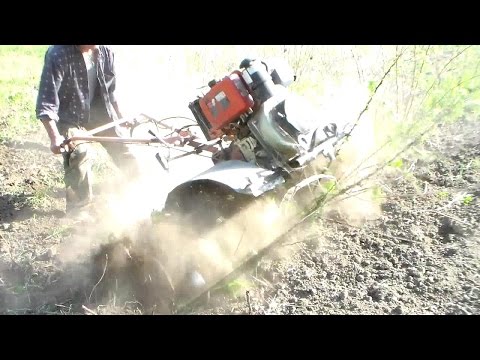 Видео: Раскорчевка малинника мини техникой.