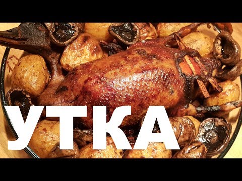 Видео: ДИКАЯ УТКА НА ДРОВЯНОЙ СКОВОРОДЕ СЮФ РЕЦЕПТ ПРИГОТОВЛЕНИЯ