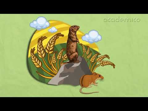 Видео: Животът на сушата - Човекът и природата 3 клас | academico