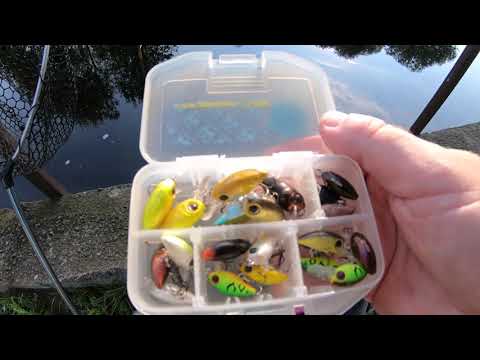 Видео: ДЕСНА. Микро-воблеры + микроколебалки