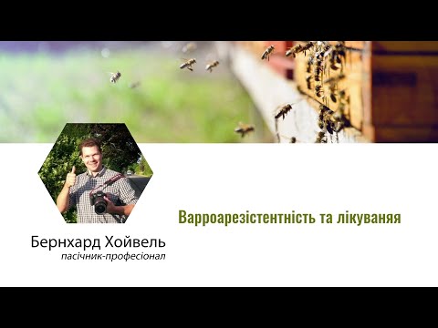 Видео: Варроарезистентность и лечение. Бернхард Хойвель