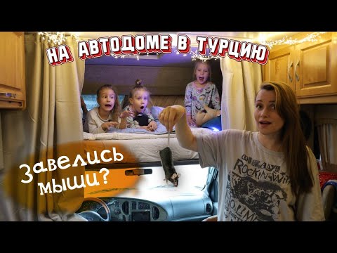 Видео: Позвали в гости в Грузии. На Автодоме с тремя детьми.