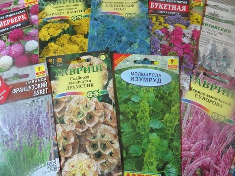 Видео: Обзор семян цветов. Сухоцветы - красота летом и зимой.